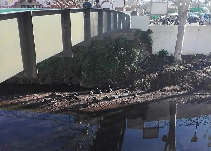 アパート House Espartal - Monte Clerigo - Aljezur Vales